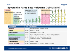 Syysrukiin Paras Sato –ohjelma (hybridilajike)