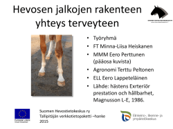 Hevosen jalkojen rakenteen yhteys terveyteen