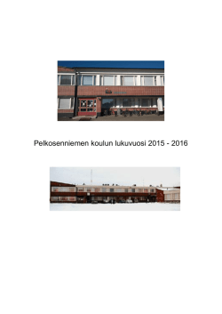 koulun työsuunnitelma lukuvuosi 2015-16