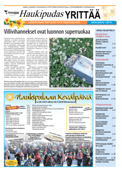 Vkkmedia.fi Web Wp Content Uploads Haukipudasyrittaa 1 2015