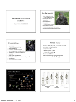 Ihmisen seksuaalivalinta Anatomia Gorillat(Gorilla) Simpanssit(Pan