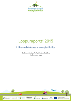 Loppuraportti 2015