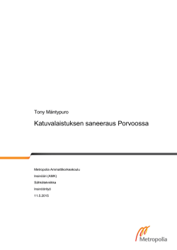 Theseus.fi Bitstream Handle Mantypuro Tony