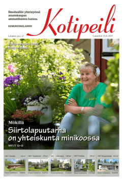 Lataa julkaisu