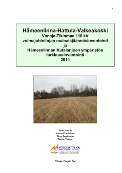 Hameenlinna-Valkeakoski Vanaja-Tikinmaa vjl muinaisj