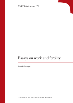 Essays on work and fertility