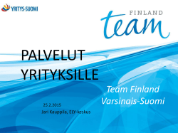 Team Finland -palvelut pk-yrityksille