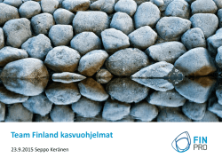 Team Finland kasvuohjelmat