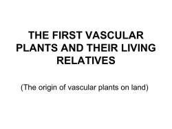 Early land plants