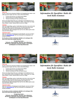 Information för Sportfiske i Kalix älv inom Kalix kommun Information