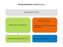 Diplomi-insinöörin tutkinnon rakenne