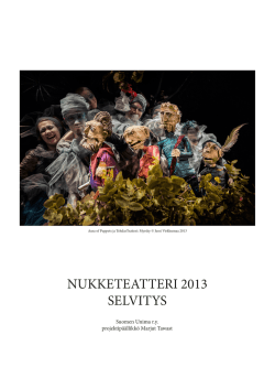 NUKKETEATTERI 2013 SELVITYS