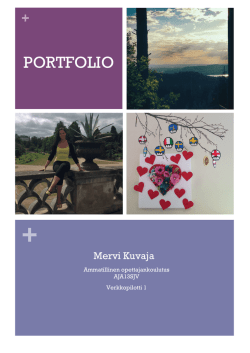 Mervin portfolio