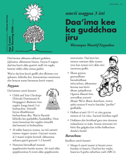 Daa`ima kee ka guddchaa jiru