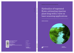 Hydraulics of vegetated flows: estimating riparian plant