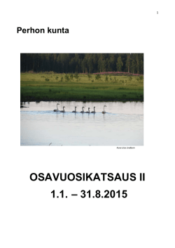OSAVUOSIKATSAUS II 1.1. – 31.8.2015