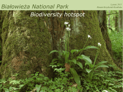 Białowieża National Park