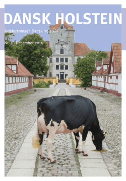 Nr. 4 december - Dansk Holstein