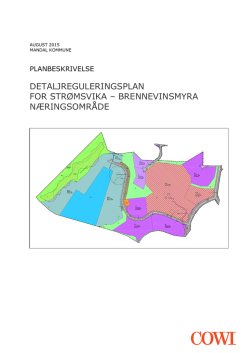 detaljreguleringsplan for strømsvika