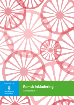 Romsk inkludering - årsrapport 2014