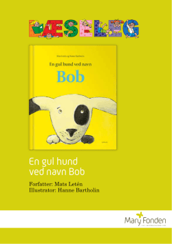 En gul hund ved navn Bob