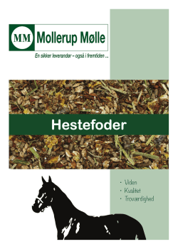Hvorfor vælge hestefoder fra Mollerup Mølle?