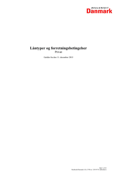 Låntyper og forretningsbetingelser