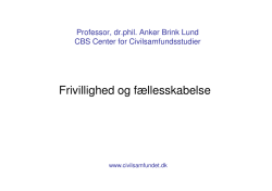 Anker Brink Lund - Frivillighed og fællesskabelse