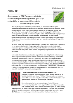 anbefales det at læse Kirsten Hartvigs rapport om Grøn Te.
