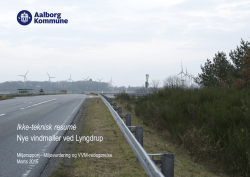 Ikke-teknisk resumé Nye vindmøller ved Lyngdrup