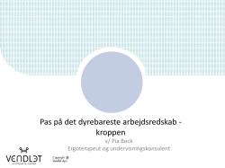 Pas p&aring; det dyrebareste arbejdsredskab - kroppen