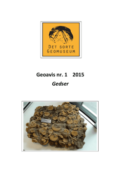 Nr 1. marts 2015 - Det sorte Geomuseum