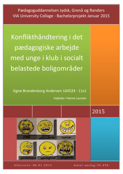 Bachelorprojekt 2015 - Signe Brandenborg Andersen