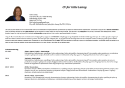 CV for Gitte Lanng