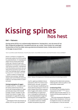 Kissing spines