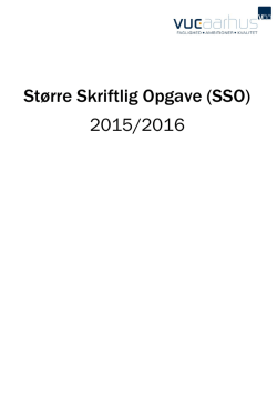 Større Skriftlig Opgave (SSO) 2015/2016