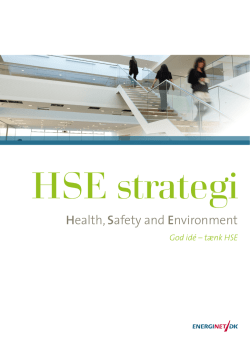 HSE strategi for Energinet.dk 2015-2017