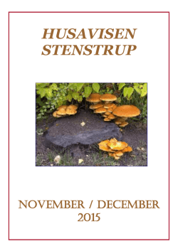 Husavisen Stenstrup November