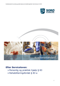 Personlig og praktisk hj&aelig;lp