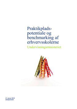 Praktikpladspotentiale og benchmarking af erhvervsskolerne