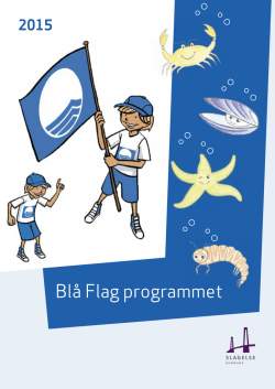 Blå Flag-programmet