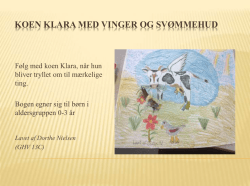 Storyline om koen Klara