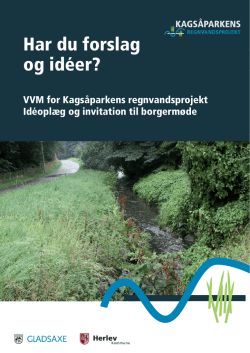 Idéoplæg til Kagsåparkens Regnvandsprojekt