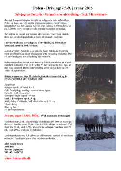 Polen - Drivjagt - 5-9. januar 2016
