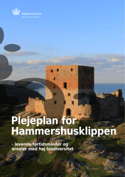 Plejeplan Hammershus 2015