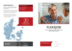FLEKSJOB - Job Vision