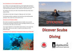 Har du altid drømt om at få et dykkercertifikat? Lær at