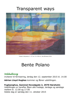 Transparent ways Bente Polano