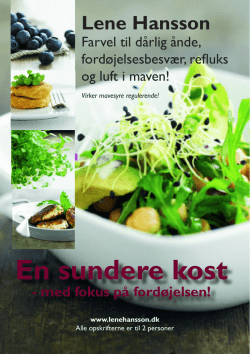 hele pdf`en her for at gemme eller printe