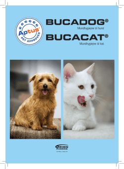 Aptus Bucadog/Bucacat brochure